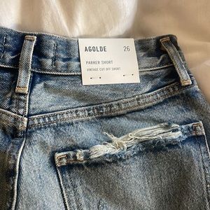 NWT AGOLDE Parker Denim Shorts in Ricochet
